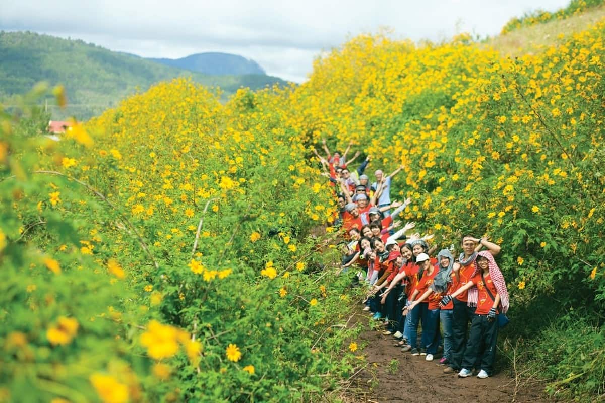 Hành trình du lịch Gia Lai: Kinh nghiệm du lịch đầy đủ Tháng 11-12 là thời điểm hoa dã quỳ nở rộ ở Gia Lai