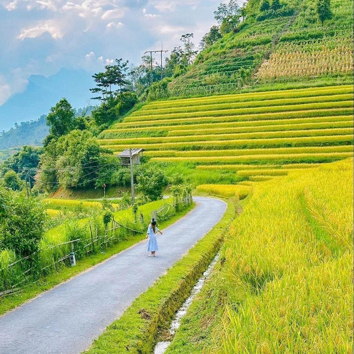 Du lịch Trạm Tấu: Trọn bộ kinh nghiệm ăn – chơi – nghỉ và chuẩn bị phụ kiện cùng Carpla Tháng 9-10 là mùa lúa chín