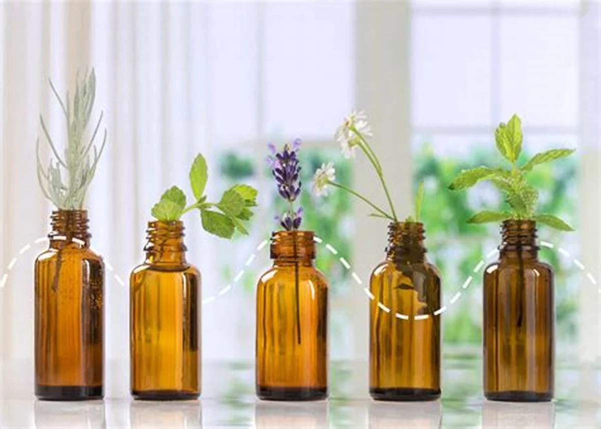 Bỏ túi cẩm nang du lịch Tuyên Quang: Trọn bộ gợi ý ăn – chơi – nghỉ Tinh dầu thư giãn