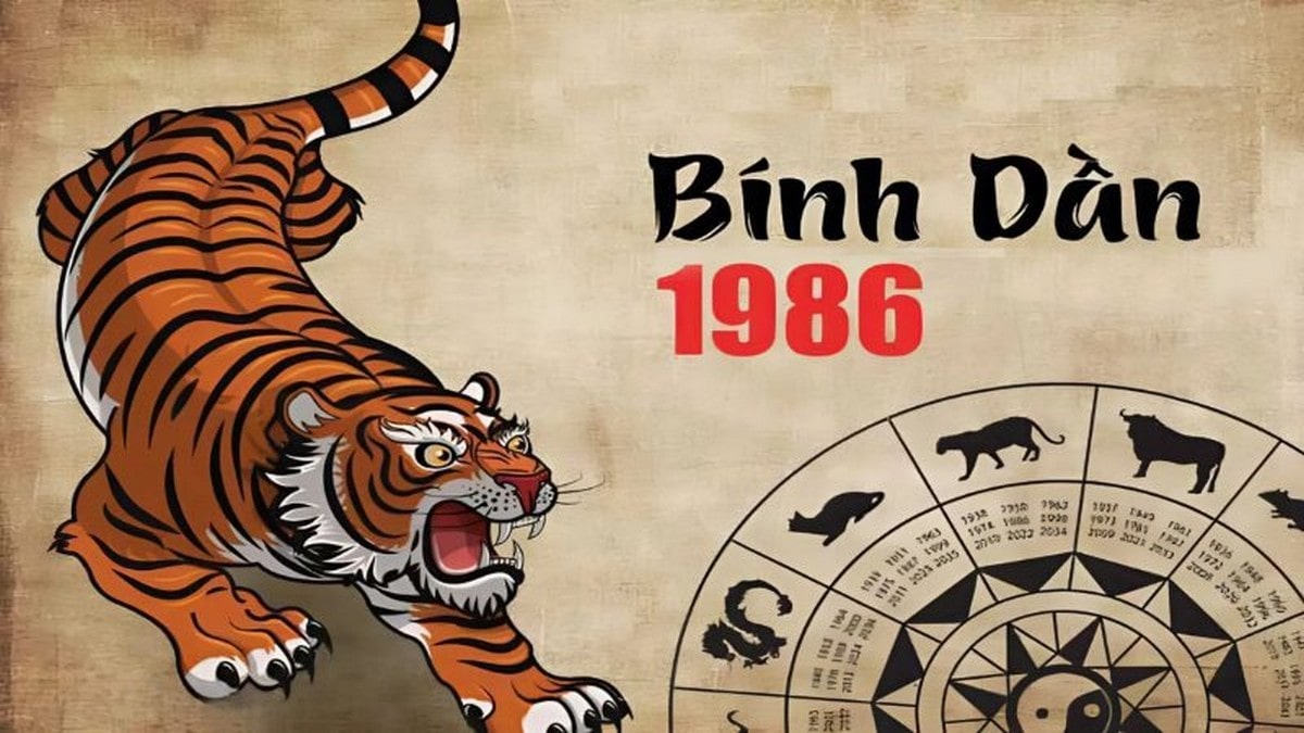 Vận hạn và may mắn tài lộc tuổi Bính Dần 1986 trong năm Giáp Thìn 2025 Tổng quan tử vi tuổi Bính Dần
