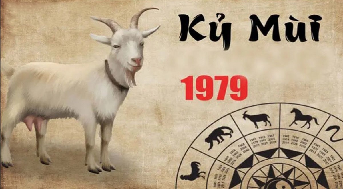Vận hạn và may mắn của tuổi Kỷ Mùi 1979 trong năm Giáp Thìn 2025 Tổng quan tử vi tuổi Kỷ Mùi