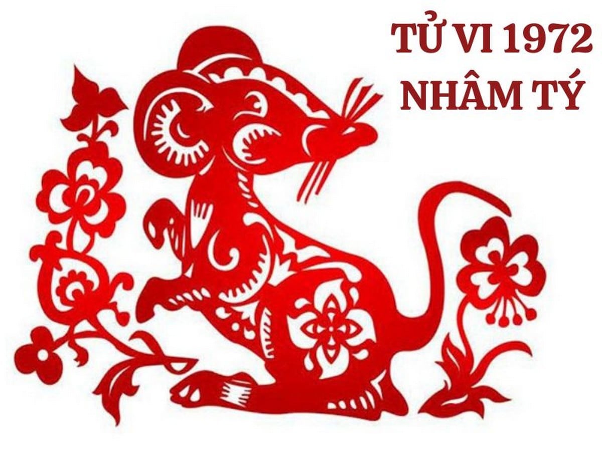 Vận hạn và may mắn của tuổi Nhâm Tý 1972 trong năm Giáp Thìn 2025 Tổng quan tử vi tuổi Nhâm Tý