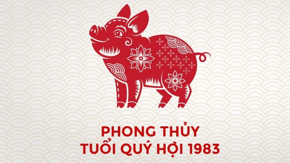 Vận hạn và may mắn của tuổi Quý Hợi 1983 trong năm Giáp Thìn 2025 Tổng quan tử vi tuổi Quý Hợi