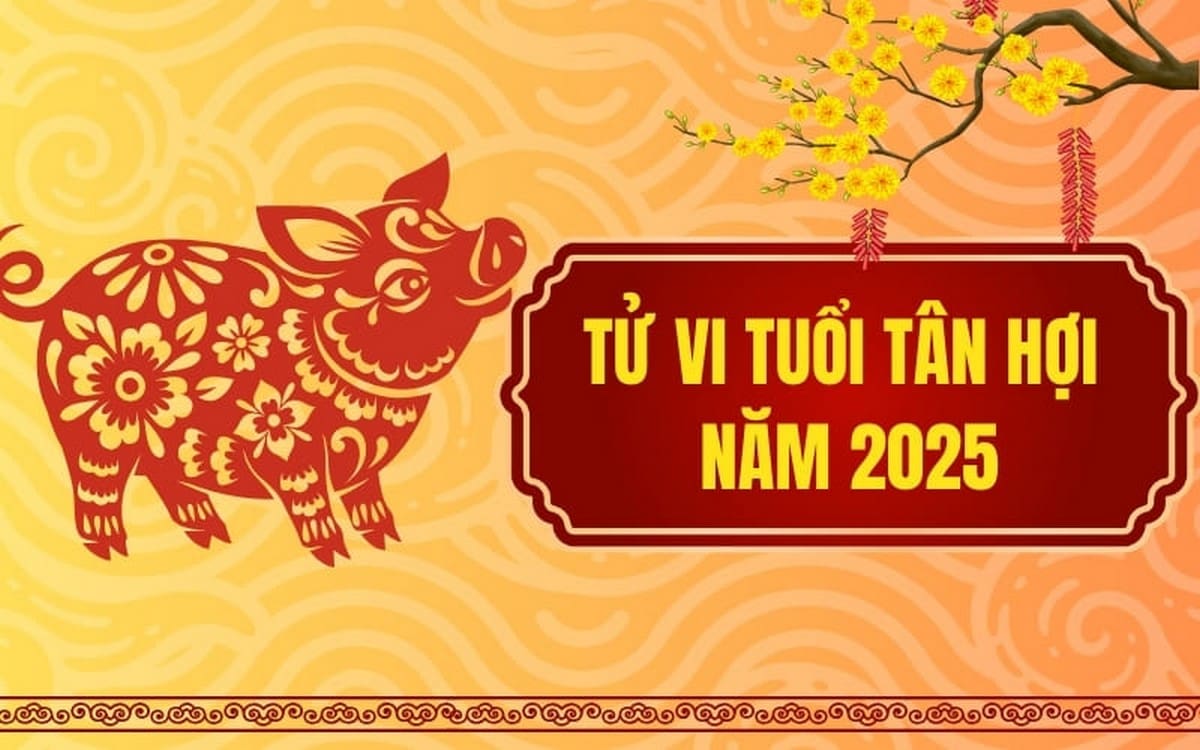 Vận hạn và may mắn của tuổi Tân Hợi 1971 trong năm Giáp Thìn 2025 Tổng quan tuổi Tân Hợi năm 1971