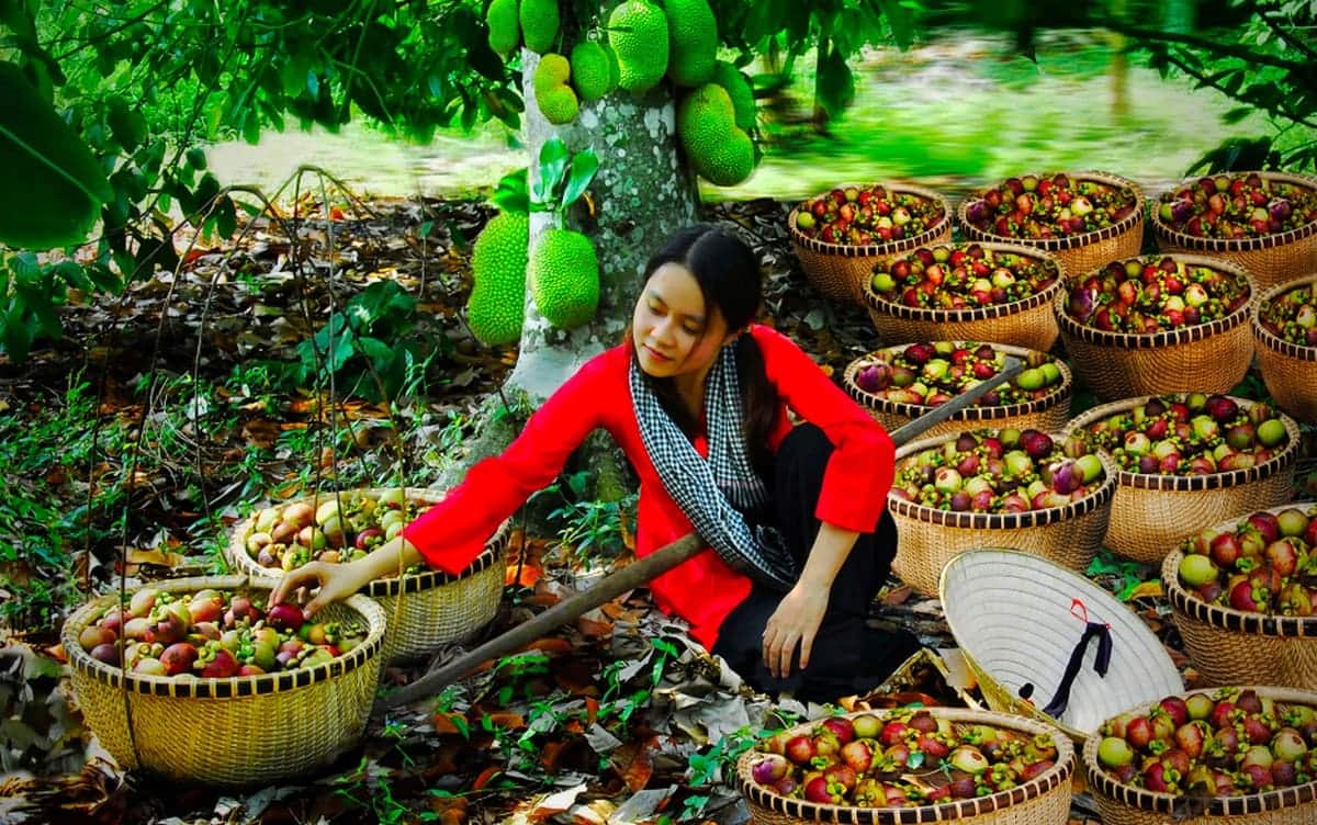Bật Mí Lịch Trình, Ăn Chơi, Lưu Trú & Phụ Kiện Tiện Lợi Khi Du Lịch Bình Dương Từ Carpla Trái cây Lái Thiêu