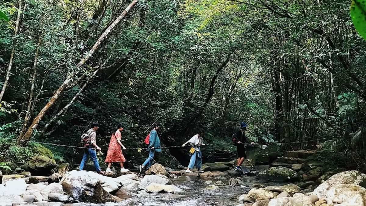 Du lịch vườn Quốc gia Bạch Mã: Trải nghiệm Trekking giữa đại ngàn cùng phụ kiện từ Carpla Trekking