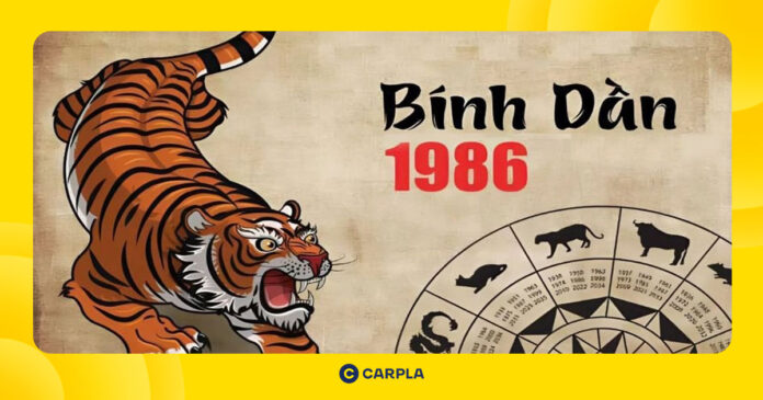 Tử vi tuổi Bính Dần 1986