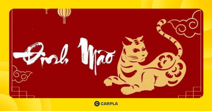 Tử vi tuổi Đinh Mão