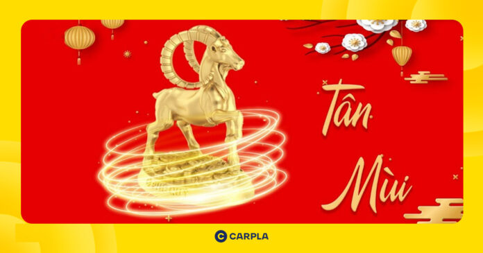 tử vi tuổi Tân Mùi 1991