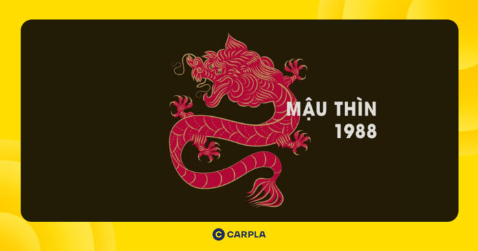 tử vi tuổi Mậu Thìn 1988
