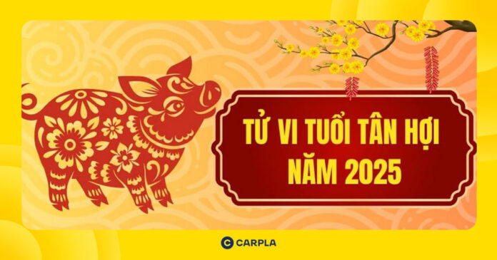 tử vi tuổi Tân Hợi 1971
