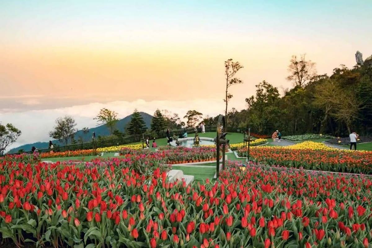 Vườn hoa Le Jardin D’Amour Vườn hoa Le Jardin D’Amour