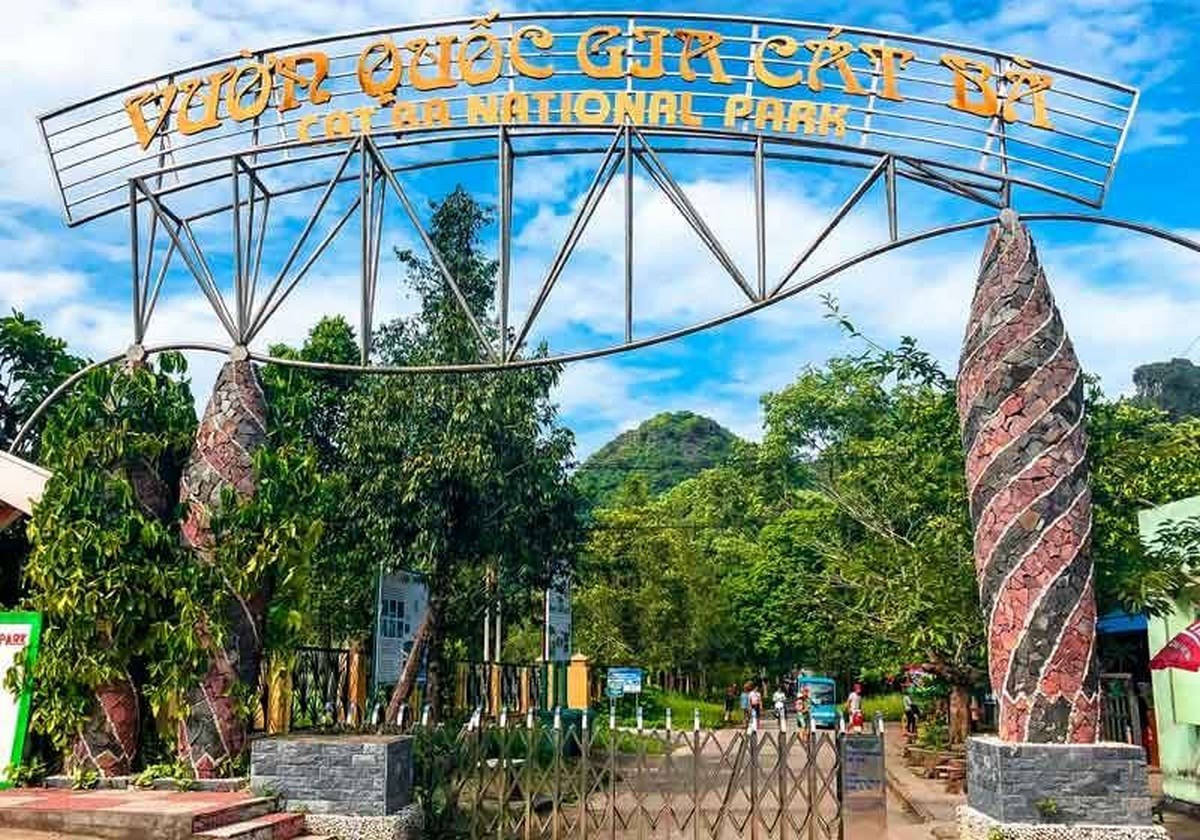 Hải Phòng Có Gì Hấp Dẫn? Hướng Dẫn Du Lịch Hải Phòng Chi Tiết Vườn quốc gia Cát Bà