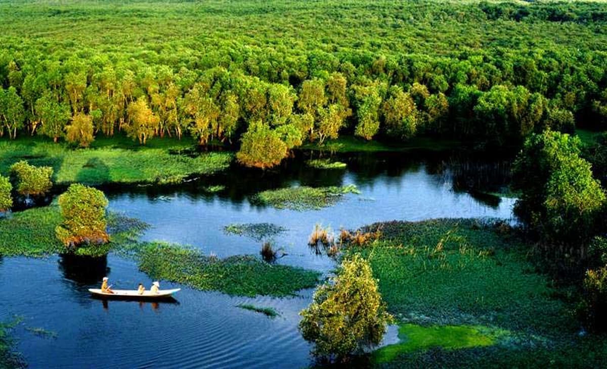 Trải nghiệm du lịch Cà Mau: Đi đâu – Ăn gì – Ngủ đâu cho đáng? Vườn quốc gia U Minh Hạ