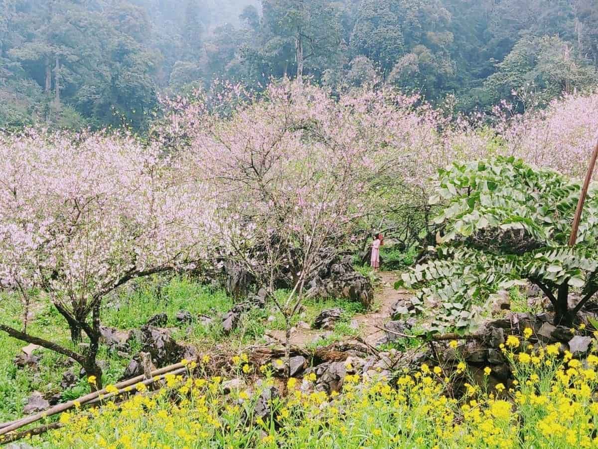 Khám Phá Du Lịch Sơn La Và Chuẩn Bị Hành Trang Hoàn Hảo Với Phụ Kiện Carpla Bản Lóng Luông
