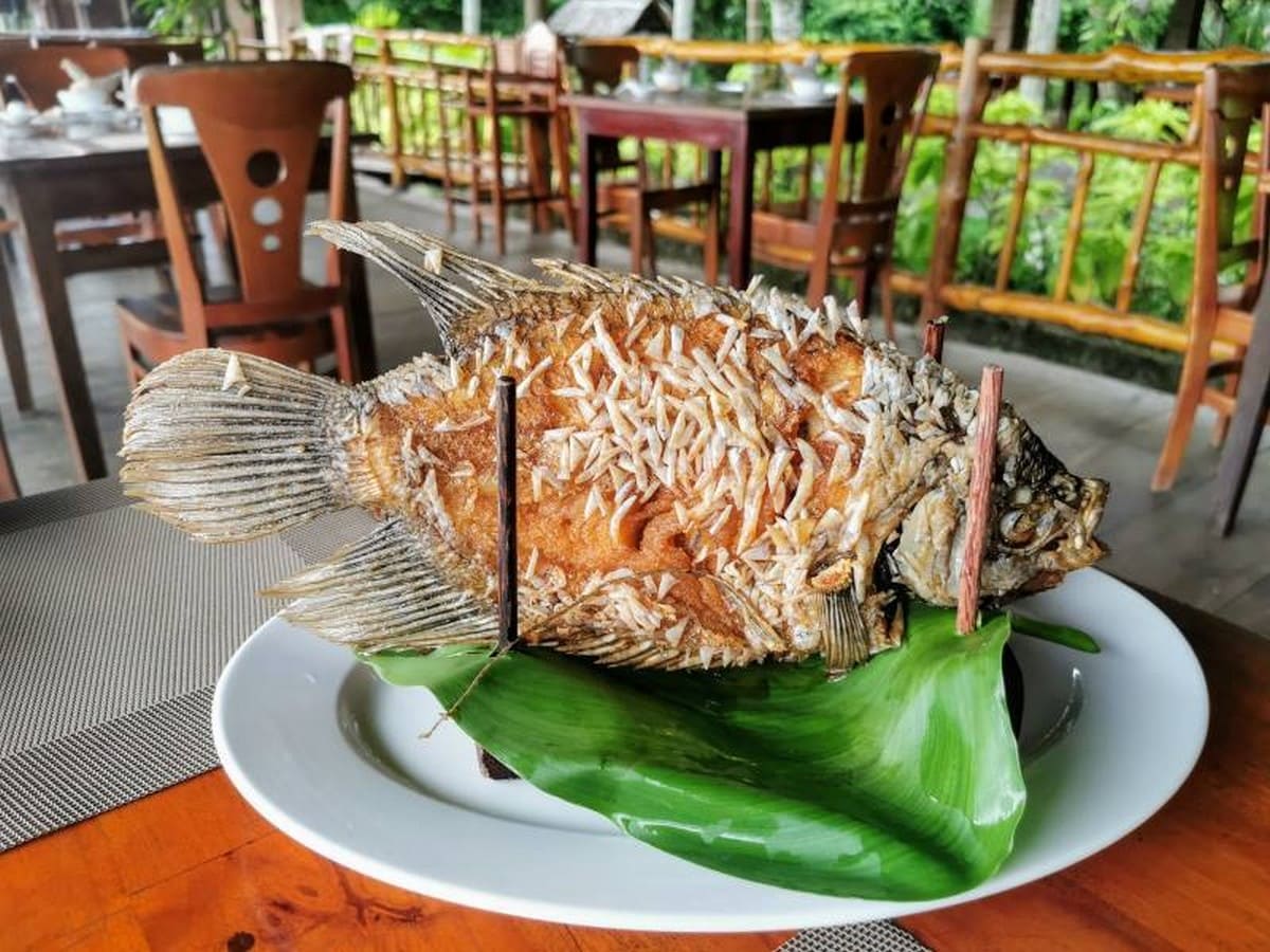 Khám Phá Du Lịch Vĩnh Long Và Chuẩn Bị Hành Trang Hoàn Hảo Với Phụ Kiện Carpla Cá tai tượng chiên xù đặc sản Vĩnh Long