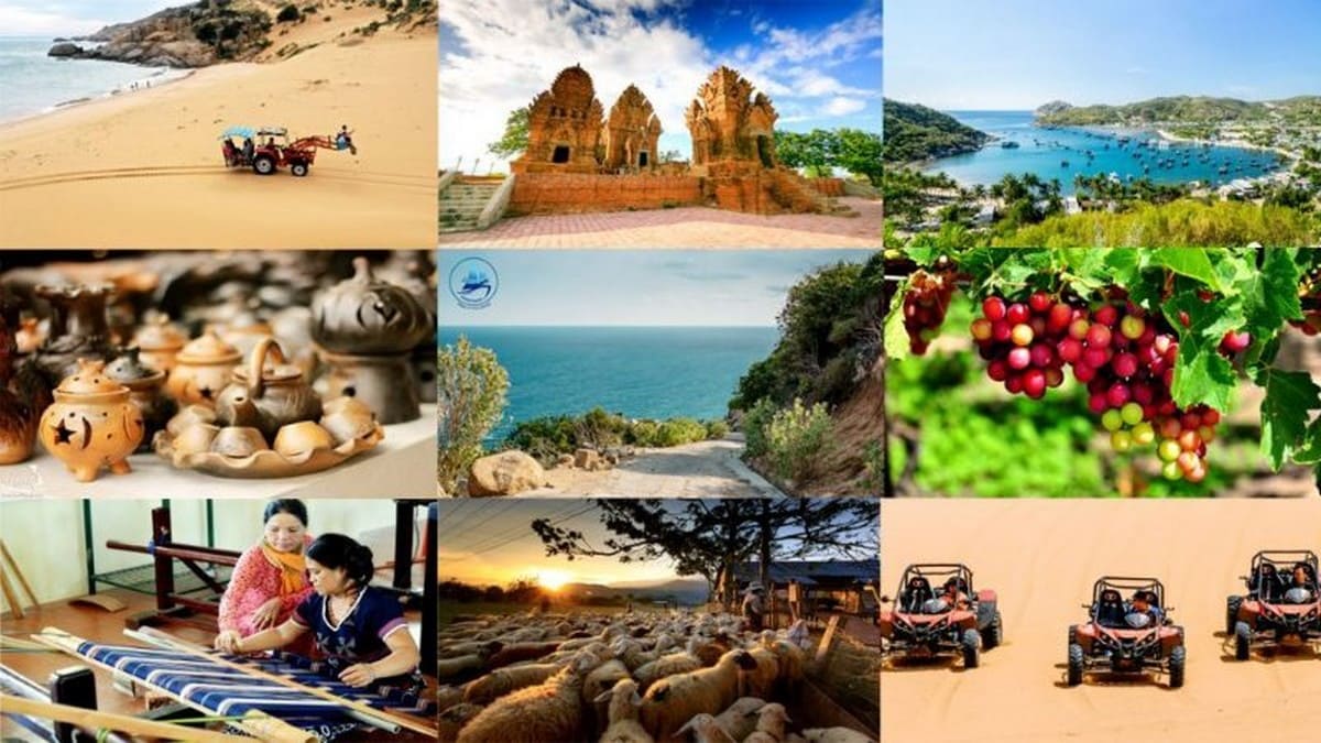 Địa điểm vui chơi tại Ninh Thuận Địa điểm vui chơi tại Ninh Thuận