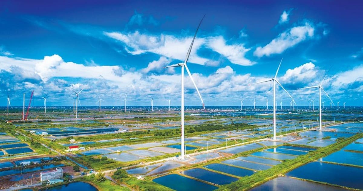 Khám Phá Du Lịch Quê Hương Công Tử Bạc Liêu. Gợi Ý Từ Carpla Cho Chiếc Xe Hoàn Hảo Thời điểm thích hợp để ghé thăm Bạc Liêu