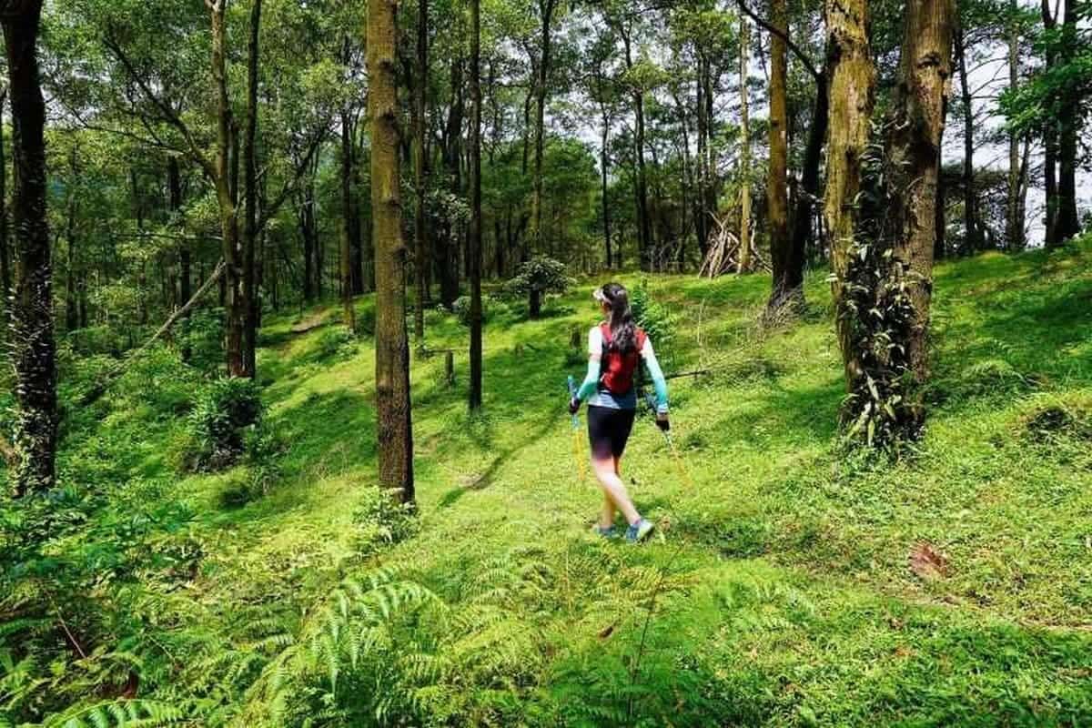 Khám Phá Du Lịch Sóc Sơn Và Chuẩn Bị Hành Trang Hoàn Hảo Với Phụ Kiện Carpla Trekking núi Hàm Lợn