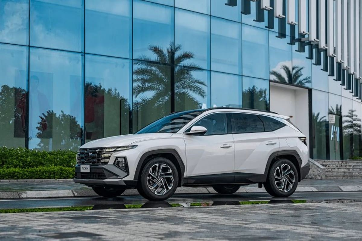 Tổng Hợp Du Lịch Mùa Hoa Hướng Dương Cải Trắng ở Đà Lạt Từ A-Z Xe Hyundai Tucson