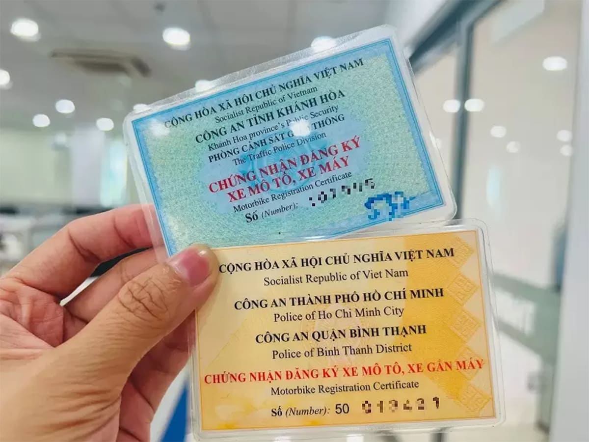 Cà vẹt xe là gì? Cà vẹt xe là gì?