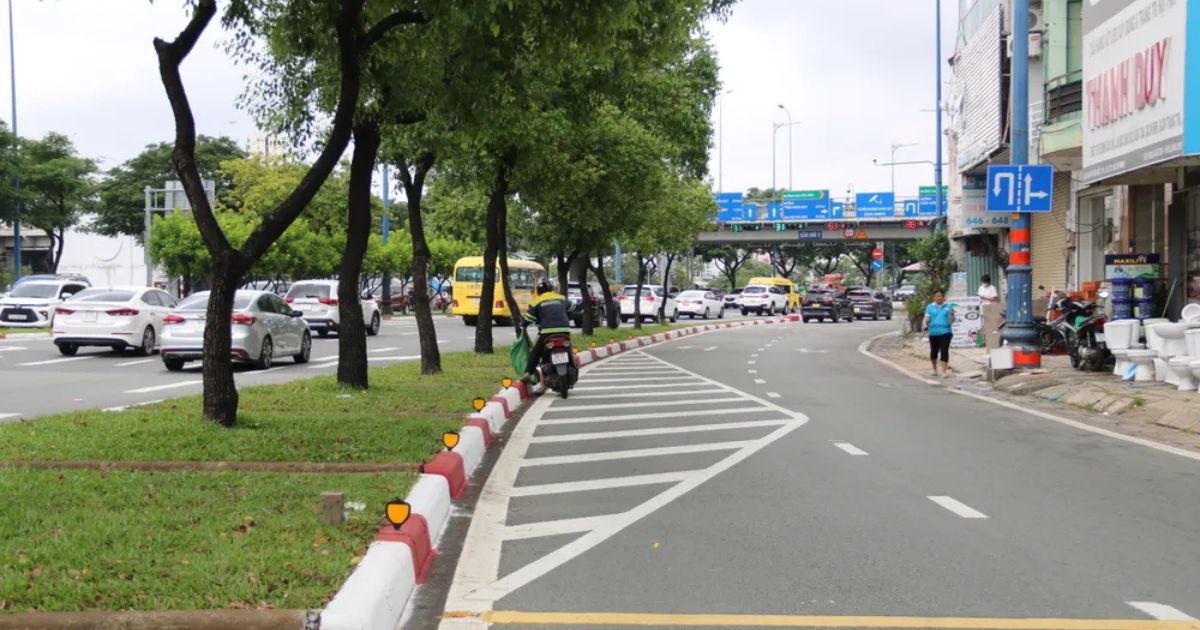Vạch xương cá là gì