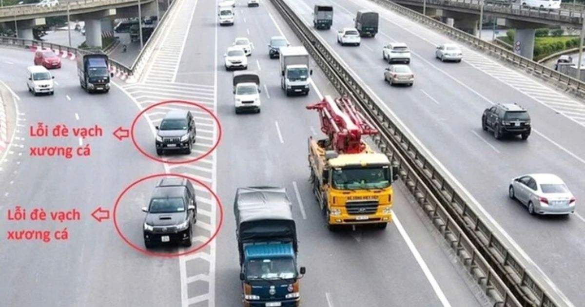 Vạch xương cá là gì